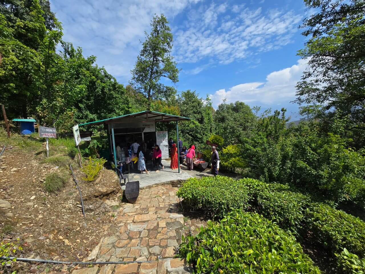 KumaonHub tea shop Kausani